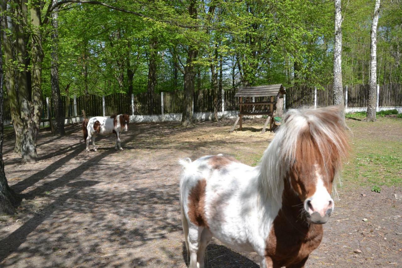 Jodelka Hotel Swieta Katarzyna  Bagian luar foto