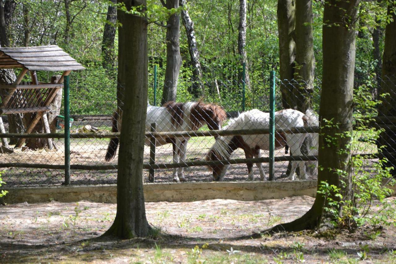 Jodelka Hotel Swieta Katarzyna  Bagian luar foto